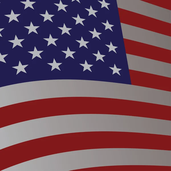 USA zászló — Stock Vector