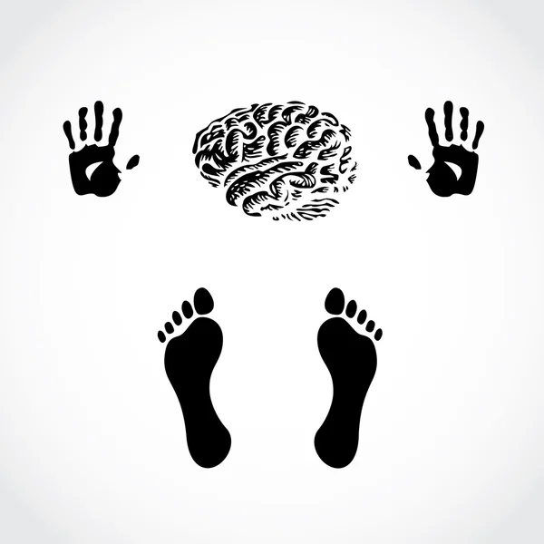 Mãos pés e cérebro — Vetor de Stock