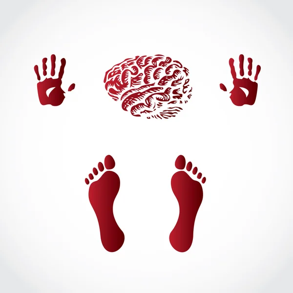 Mãos pés e cérebro — Vetor de Stock