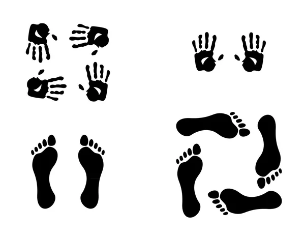 Mains et pieds — Image vectorielle