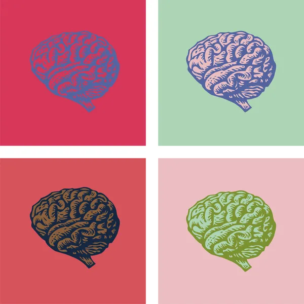 Lidský mozek — Stockový vektor