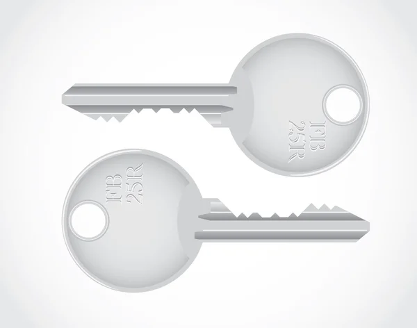 Isolated metallic keys — Stock Vector