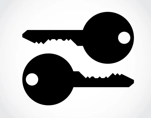 Isolated metallic key — Stock Vector