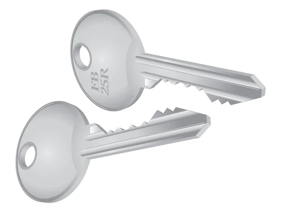 Isolierter metallischer Schlüssel — Stockvektor
