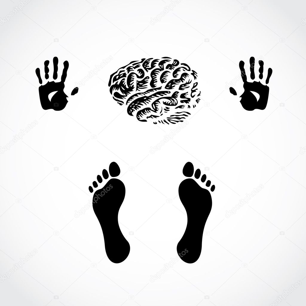 Hands foots and brain