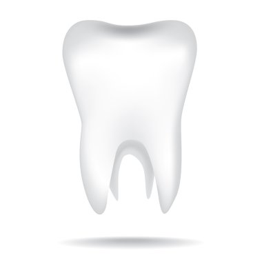 Human tooth clipart