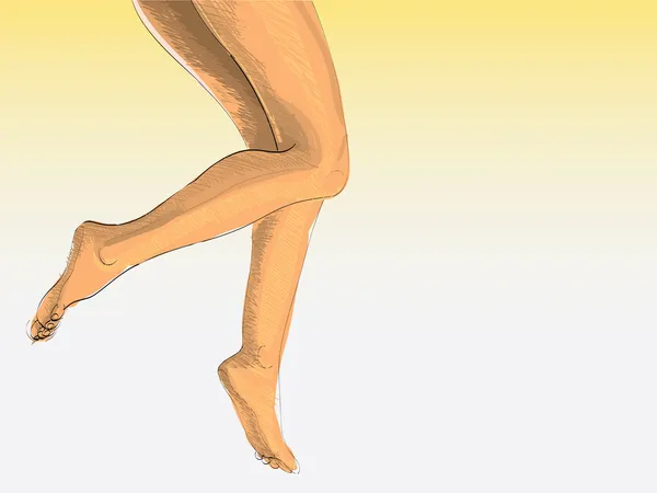 여성의 다리 — 스톡 벡터