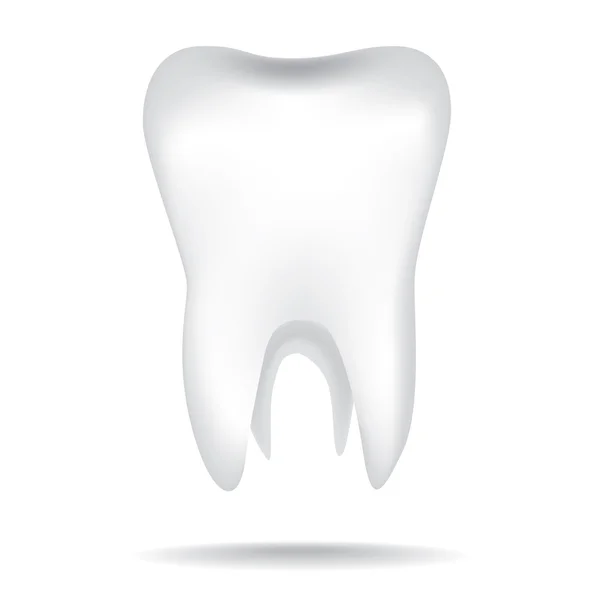 Lidský zub — Stockový vektor