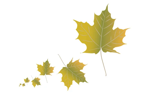 Autumn leafs — Stock Vector