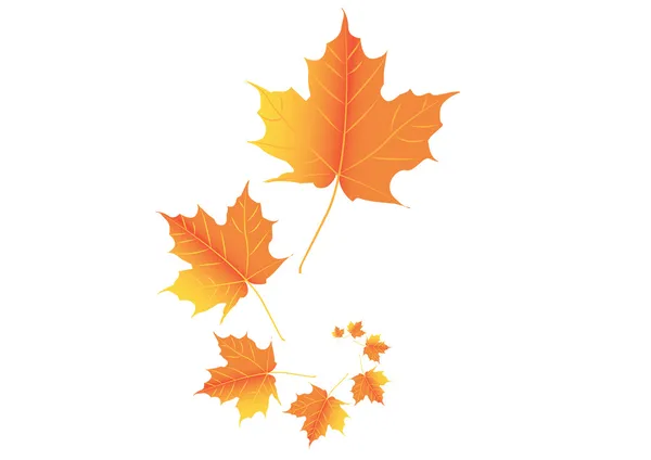 Hösten blad — Stock vektor