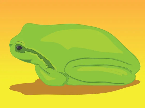 Πράσινος Δενδροβάτραχος — Διανυσματικό Αρχείο