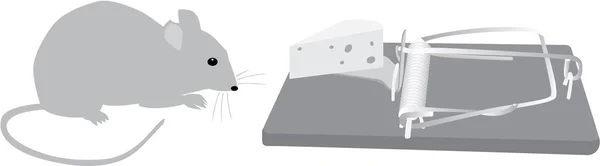 Trampas de ratón antes — Archivo Imágenes Vectoriales