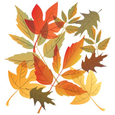 Autumn falling leafs clipart