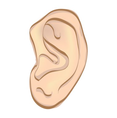 Human ear clipart