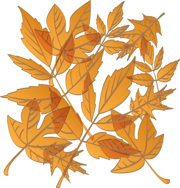 Herfst vallende bladeren — Stockvector