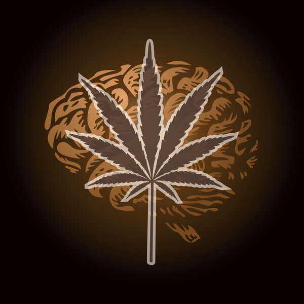 Cannabis leaf and brain