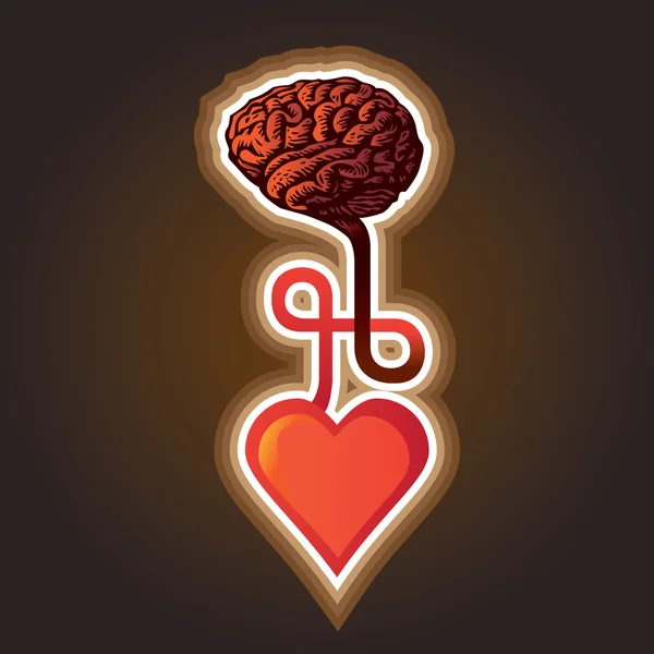 Coração e cérebro — Vetor de Stock