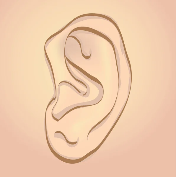 Ludzkiego ucha — Wektor stockowy