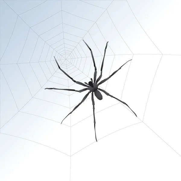 Duży pająk w Internecie — Wektor stockowy