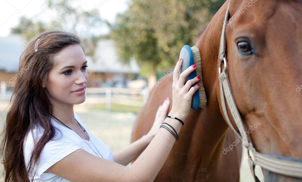 Attractive young woman brushing a horse — Stock Photo © mindof 7218623