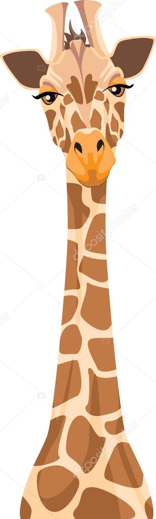 Illustration Of A Giraffe