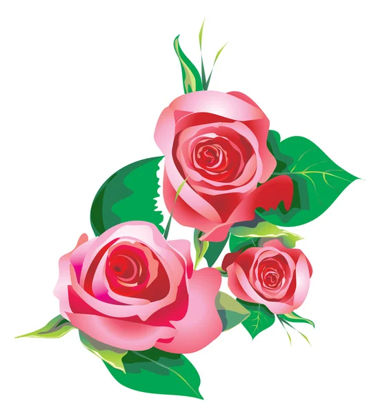 Dessin décoratif roses Photo De Stock