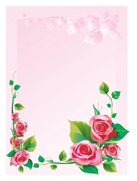Rama rose — Zdjęcie stockowe