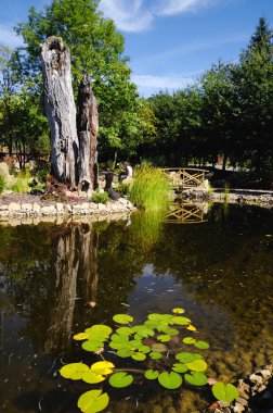 Bahçe gölet park hazırlanması ile