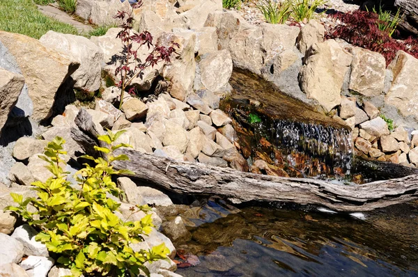 Rock garden with a pond in the park staging