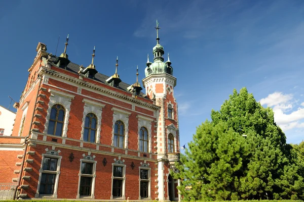 Ottendorfer´s Library in Svitavy — 스톡 사진