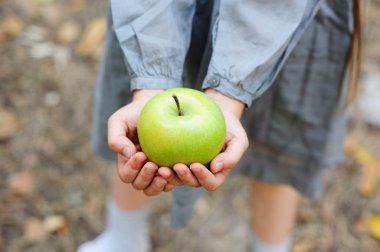 Hands of a child girl holding a green apple clipart