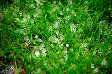 Hail after storm on grass clipart