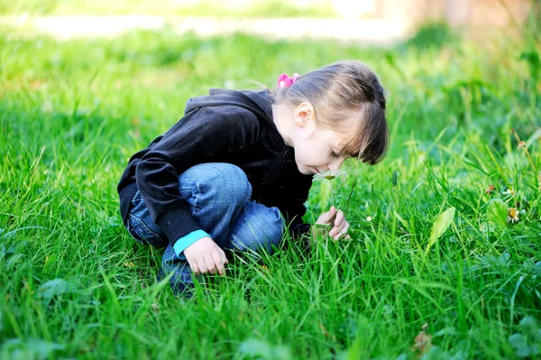 Bruneta dítě dívka vonící sedmikrásky v oboru — Stock fotografie