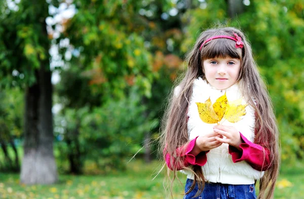 Retrato de menina bonito na floresta de outono — Fotografia de Stock