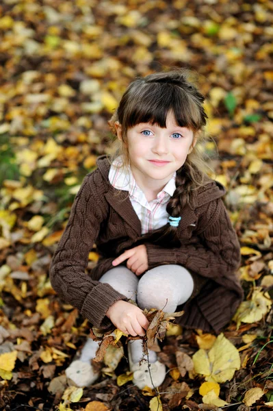 Menina bonito sentado no tapete de folhas de outono — Fotografia de Stock
