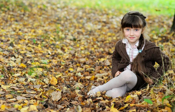 Yapraklar sonbaharda halı üzerinde oturan kız şirin çocuk — Stok fotoğraf