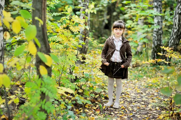 Πορτραίτο κοριτσιού αξιολάτρευτο παιδί στο φθινόπωρο δάσος — Φωτογραφία Αρχείου