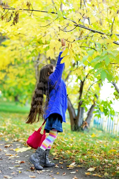 时髦小儿童女孩在秋季的气氛 — 图库照片