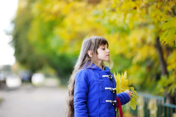 Portrait of a pretty child girl with yellow leaves — Stock Photo, Image