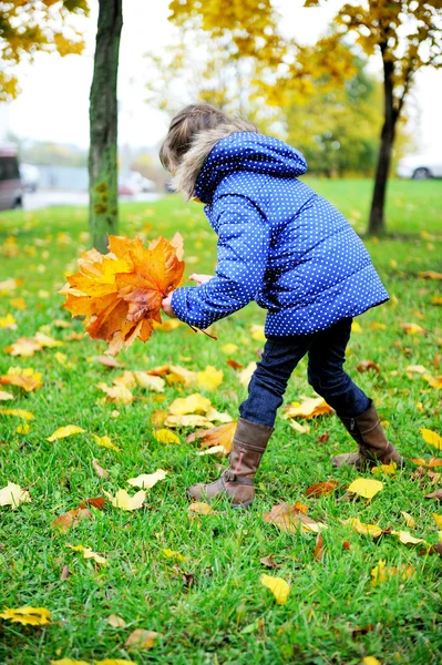 Toddler girl in blue coat picking up leaves — Stock Photo, Image