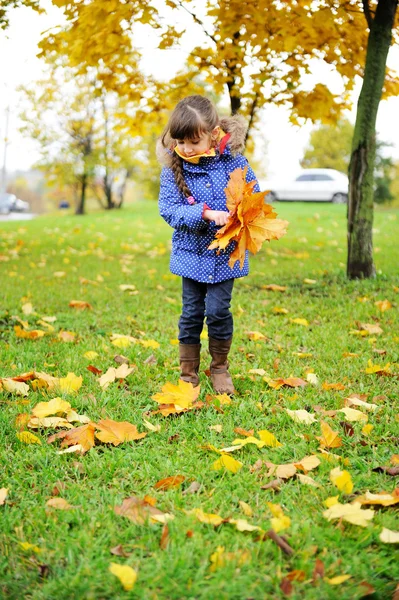 Kleinkind in blauem Mantel sammelt Blätter auf — Stockfoto