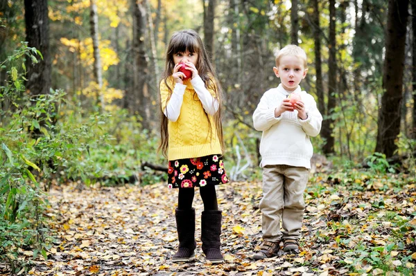 小男孩和小女孩吃的苹果在森林里 — 图库照片