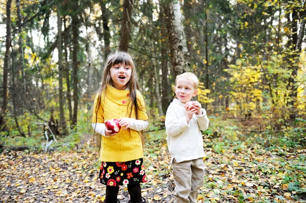 Kleine jongen en weinig meisje eten van appels in bos — Stockfoto