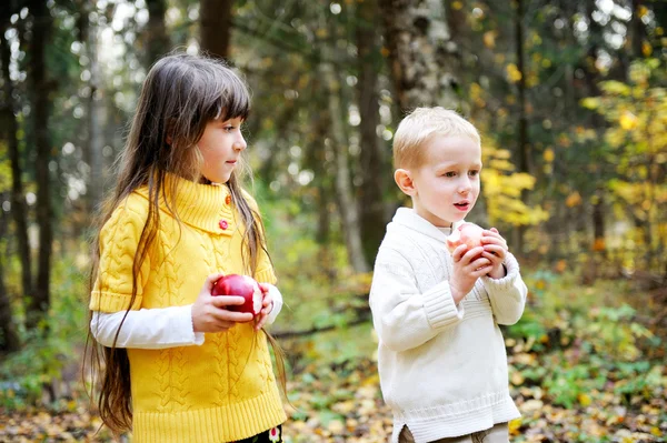 Malý chlapec a malá holka jedl jablka v lese — Stock fotografie