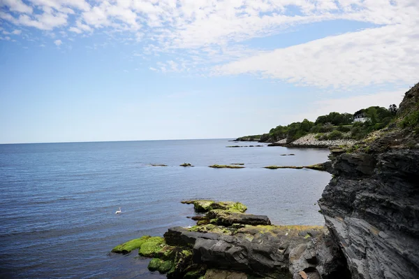 stock image Cliff landsape near Newport, USA