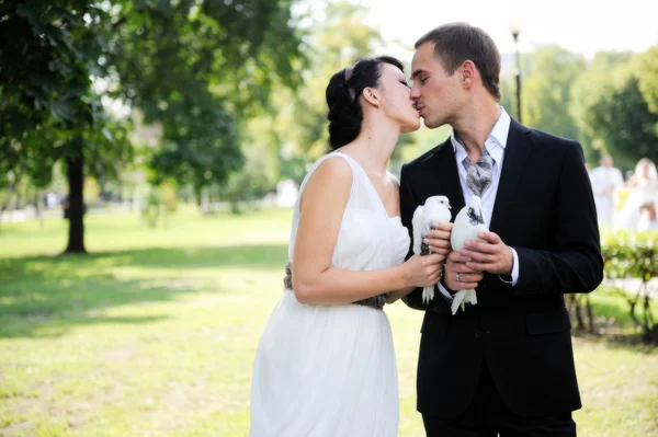 Bride and groom kissing each other outdoors — Stock Photo, Image