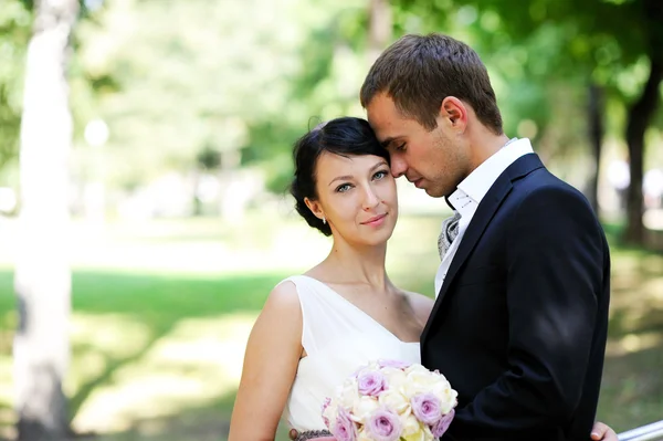 Bruid en bruidegom permanent samen in een park Stockfoto