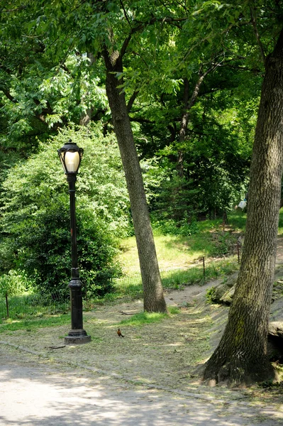 A lonely lantern in New York City Central Park — Stock Photo, Image