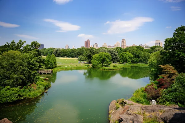 En damm i new Yorks central park i sommar — Stockfoto