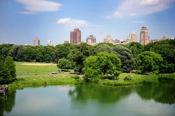 Un estanque en el Central Park de Nueva York en verano — Foto de Stock